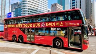 글래스탑 2층 버스 1