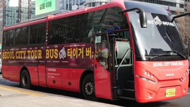 반오픈 1층 버스 1