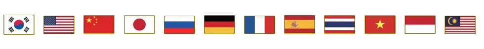 Audio language guides